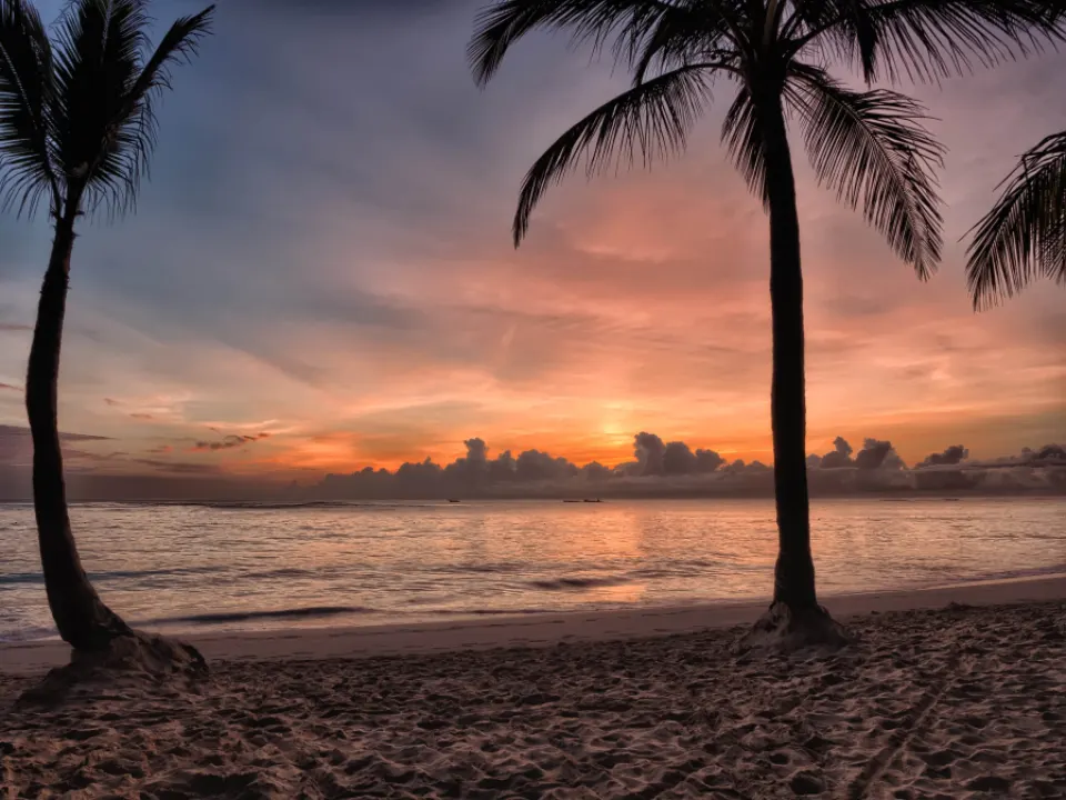 Tropischer Strand bei Sonnenuntergang mit zwei Palmen, die einen orangefarbenen Himmel einrahmen, der sich im Meer spiegelt