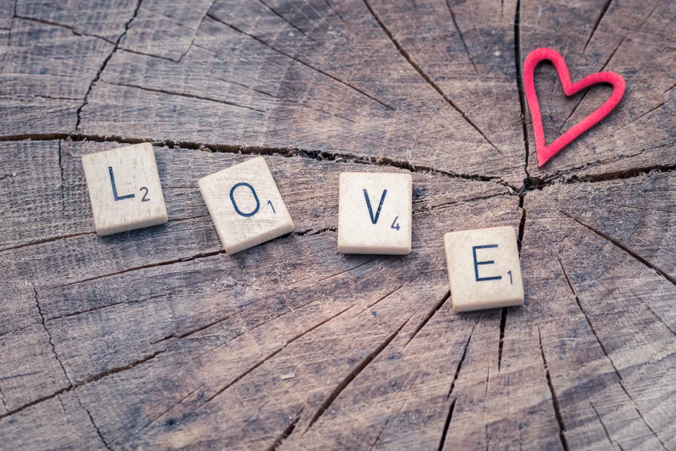 Lettere che formano la parola LOVE con un cuore su un tronco