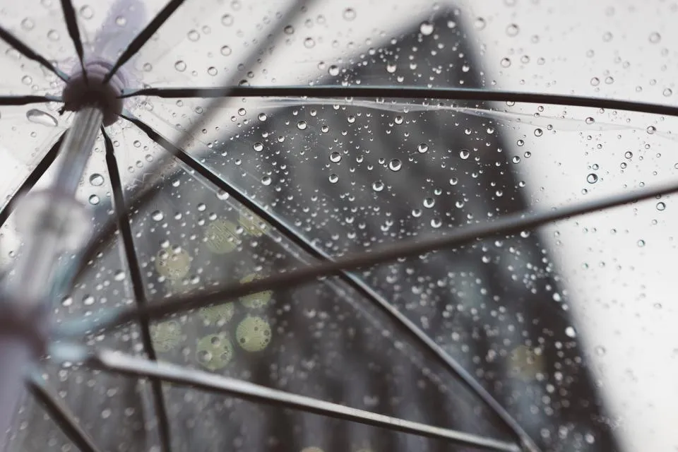 Vista desde debajo de un paraguas transparente cubierto de gotas de lluvia