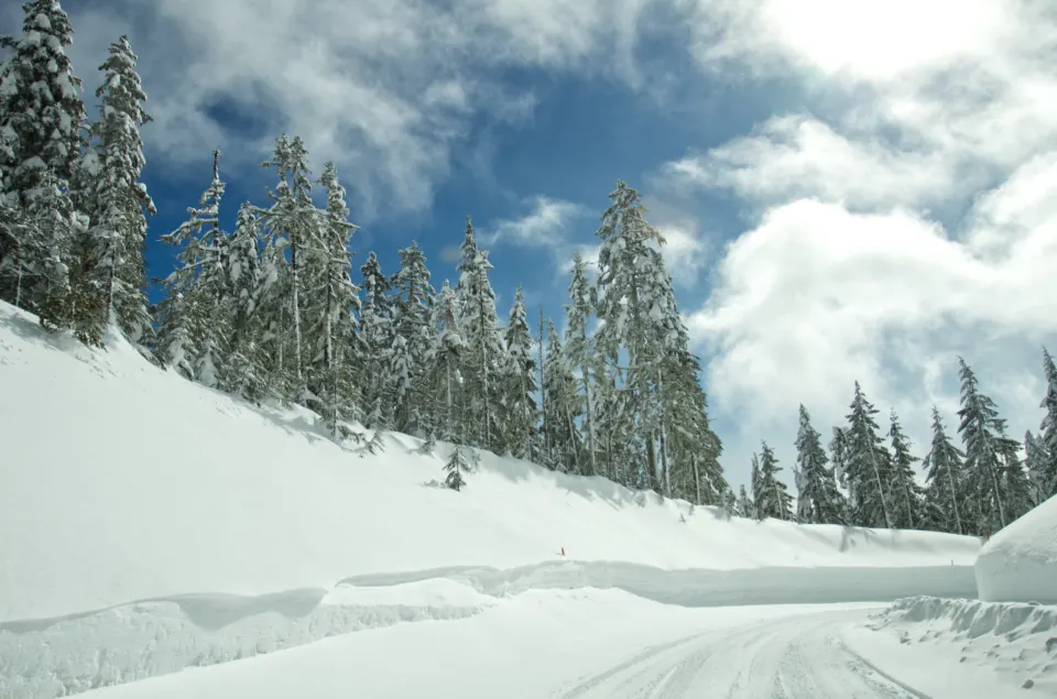 Verschneiter Wald aus immergrünen Bäumen säumt einen weißen Weg unter einem blauen Himmel mit Wolken
