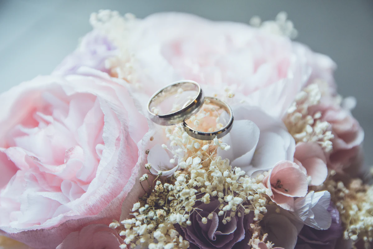 Alianzas de boda sobre pétalos de rosas rosas